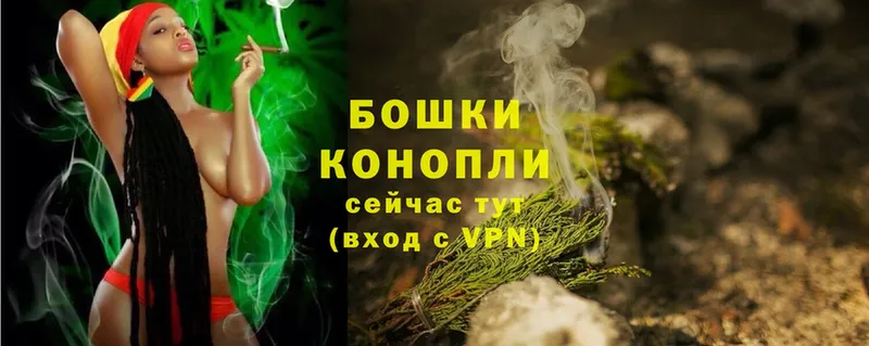 Бошки марихуана THC 21%  Инта 